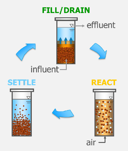 Aerobic Granular Sludge process stages